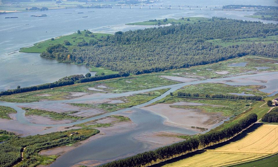 Biesbosch. Foto: provincie Zuid-Holland