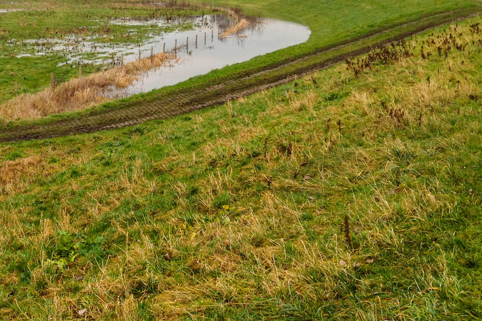 Hoogwater dijken. Foto: Ivo Ketelaar Fotografie